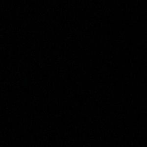 Meet your Posher, Joelle